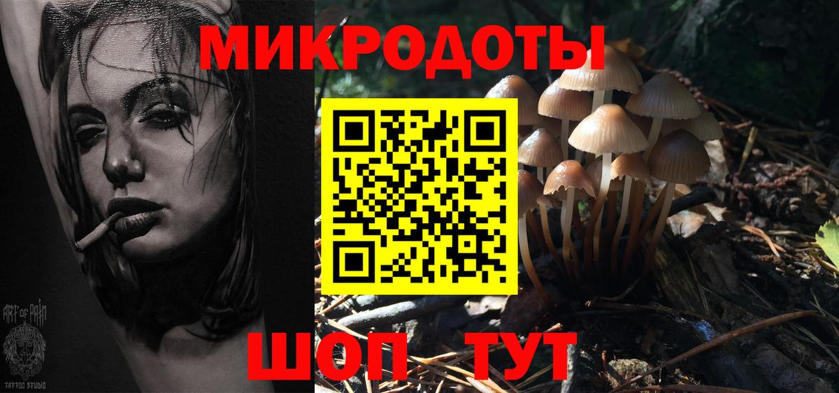 Псилоцибиновые грибы Psilocybe Шадринск